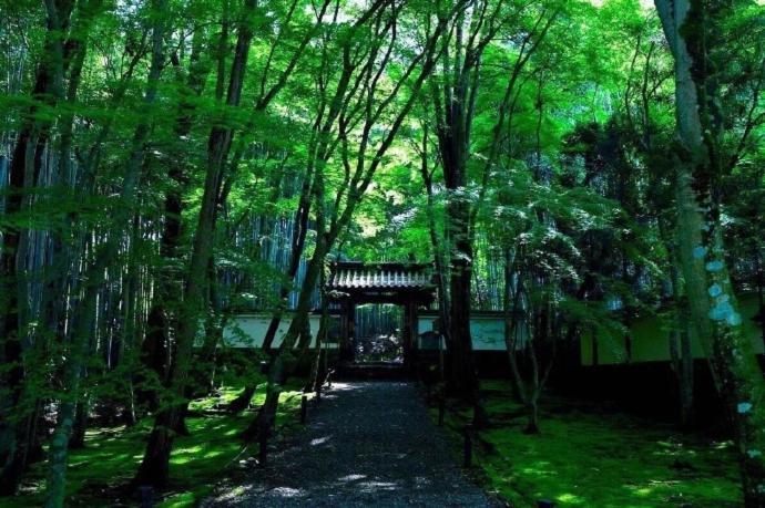 Апарт отель Kyoto-Toji House Экстерьер фото